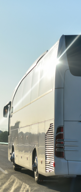 Luxury buses parked for rental - Sanaa Travels